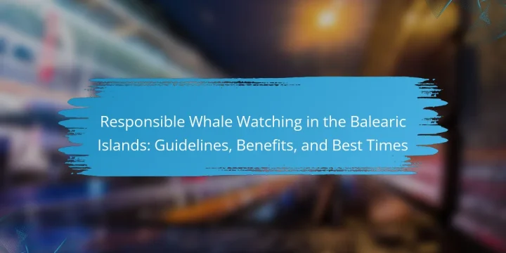 Responsible Whale Watching in the Balearic Islands: Guidelines, Benefits, and Best Times