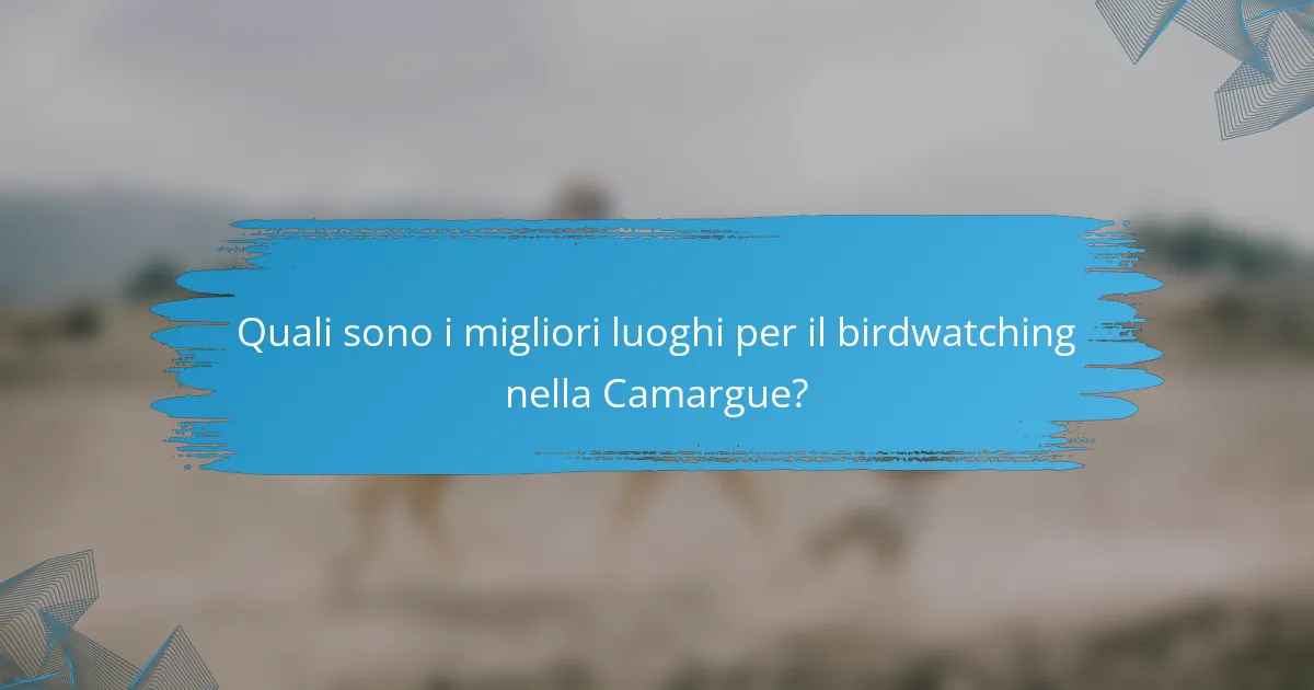Quali sono i migliori luoghi per il birdwatching nella Camargue?