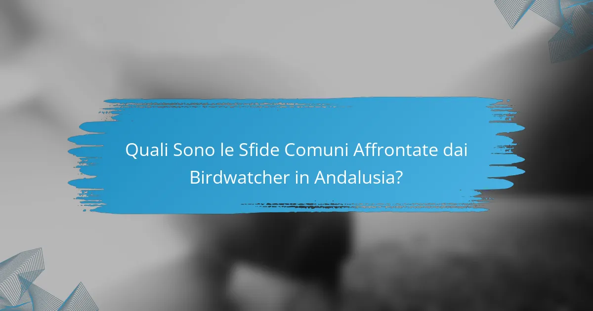 Quali Sono le Sfide Comuni Affrontate dai Birdwatcher in Andalusia?