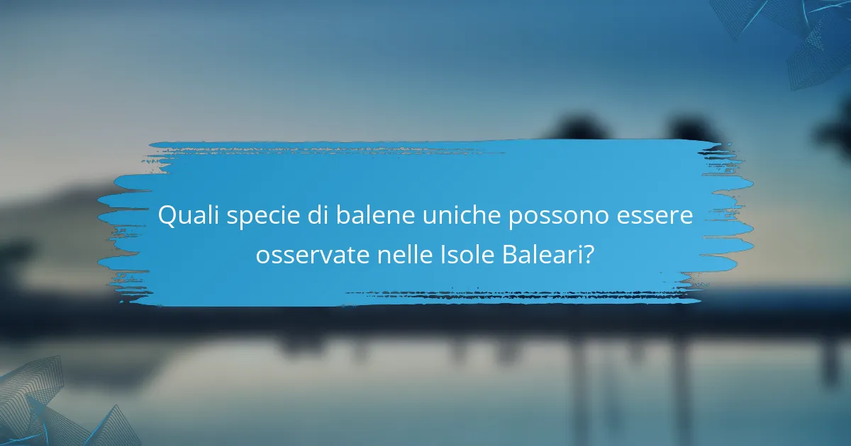 Quali specie di balene uniche possono essere osservate nelle Isole Baleari?