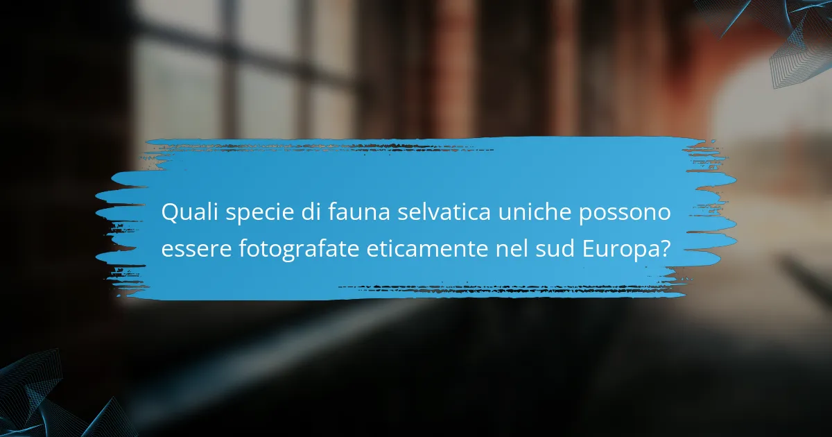 Quali specie di fauna selvatica uniche possono essere fotografate eticamente nel sud Europa?