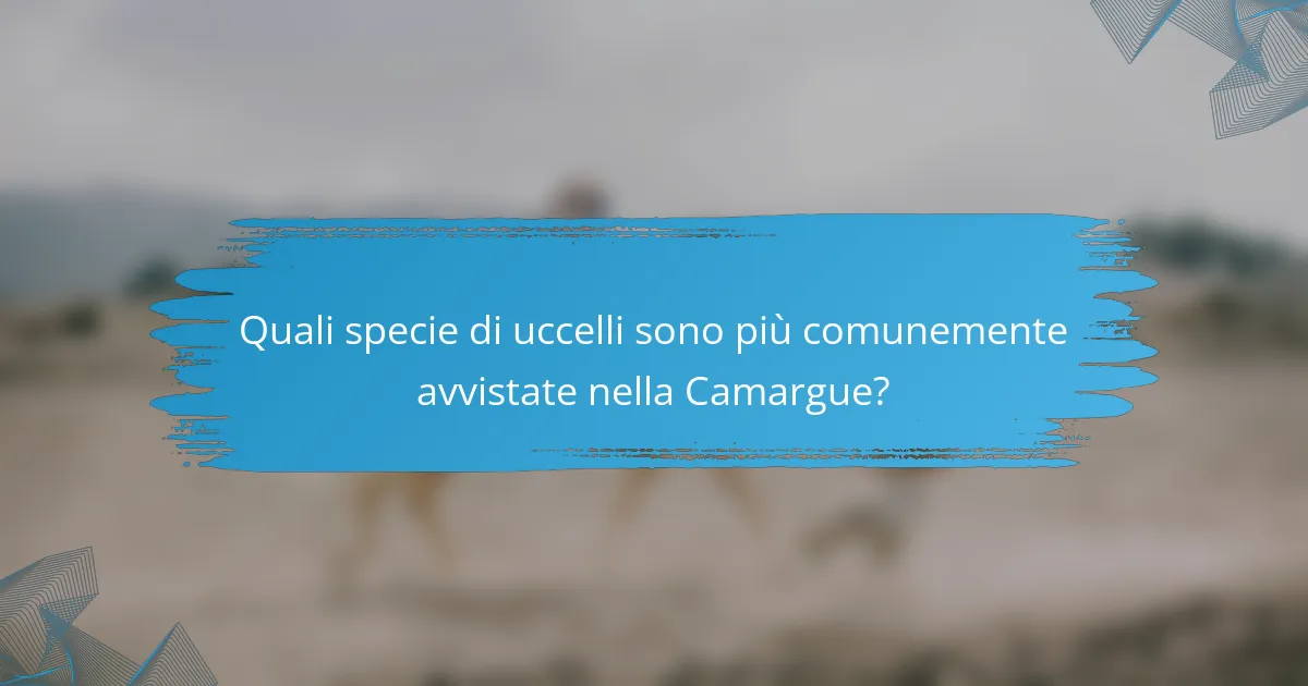 Quali specie di uccelli sono più comunemente avvistate nella Camargue?