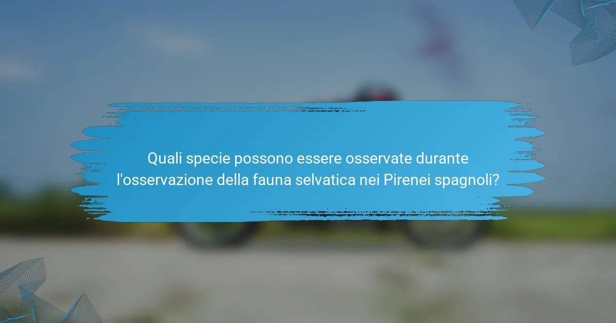 Quali specie possono essere osservate durante l'osservazione della fauna selvatica nei Pirenei spagnoli?