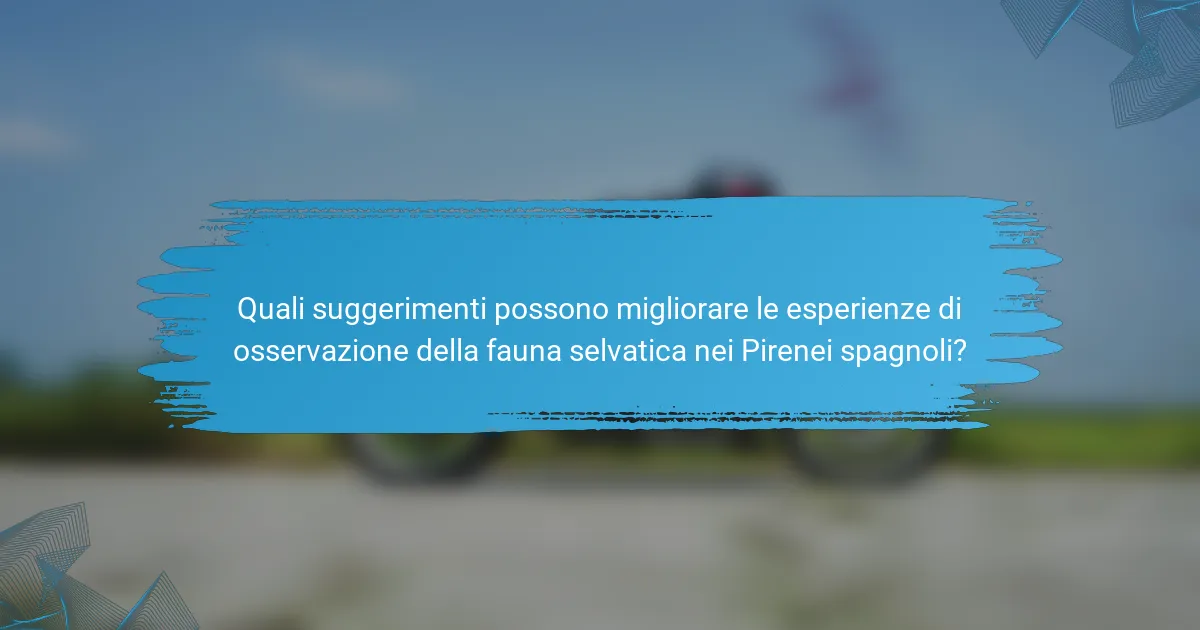 Quali suggerimenti possono migliorare le esperienze di osservazione della fauna selvatica nei Pirenei spagnoli?