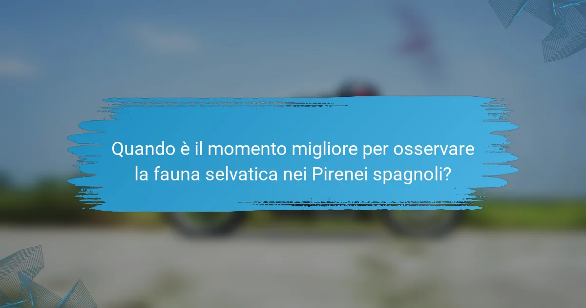 Quando è il momento migliore per osservare la fauna selvatica nei Pirenei spagnoli?